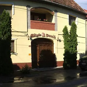 Mátyás Panzió Panzió